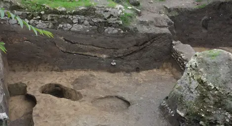 Изследване акцентира върху археоботаниката от ямното поле на Сексагинта Приста