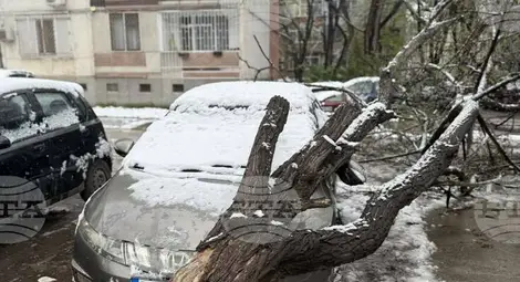 Снимка: БТА