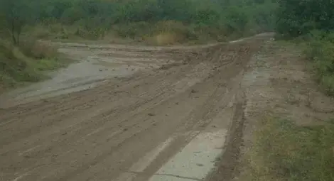 Буря засипа пътя между две села и остави без вода Бяла