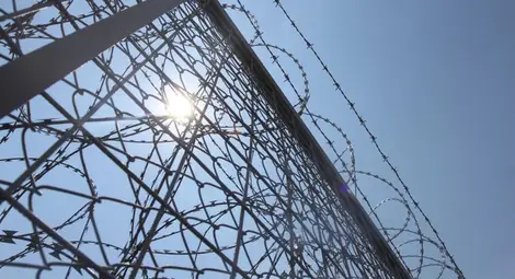 Бегълци от Турция са заловени на българската граница