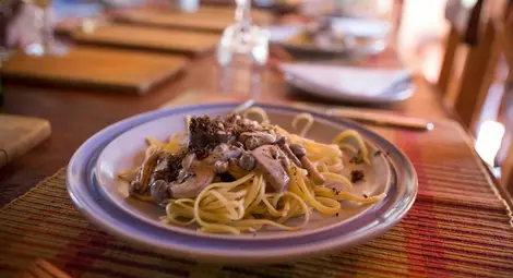 Най-вкусните гъби в света Най-вкусните гъби в света