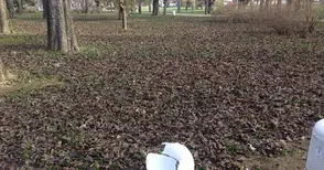 Вандали потрошиха лампите в Парка на възрожденците