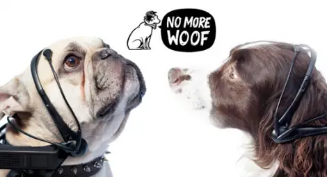 Нова джаджа ще разбира какво казват кучетата