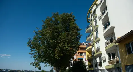 Отчитат драстичен спад на  сделките с имоти в Русе