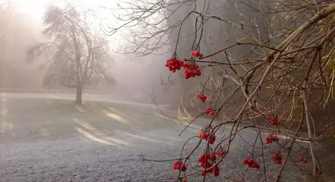 Времето остава студено, облачно и дъждовно и в сряда