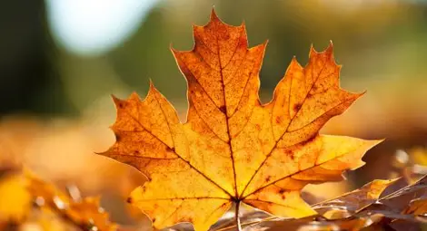 Идва слънчев и тих уикенд