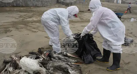 Снимка: БТА