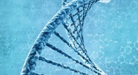 Първи братовчеди: Италианците са ни най-близки по ДНК