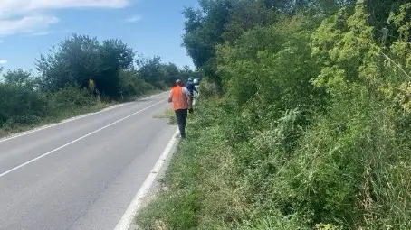 Чистят растителността по републиканската пътна мрежа в Русенско