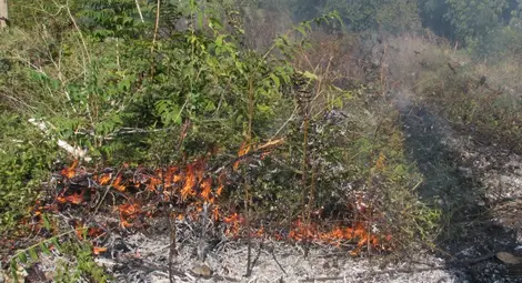Цигара запали треви и храсти около жп линията на Товарна гара