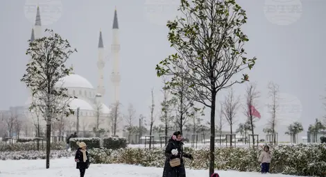 Снимка: БТА