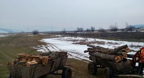 79 акта за установяване на нарушение са съставили лесовъдите от &bdquo;Северноцентрално държавно предприятие&ldquo; през февруари