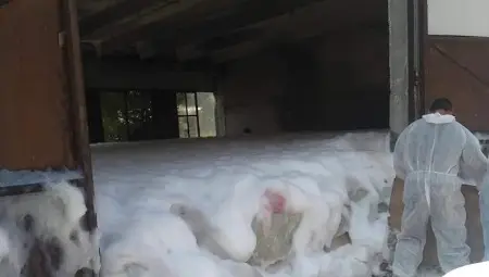 Агенцията по храните: Умъртвяването на прасета с пяна е метод, доказан в Холандия още през 2013 година