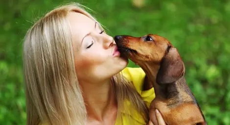 Кучешките целувки по лицето могат да ви убият