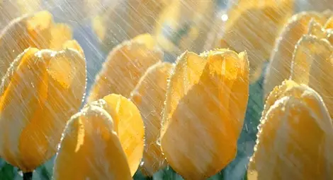 Очакват се валежи, температурите ще се понижат