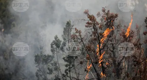 Хиляди жители на Франция бяха евакуирани заради разпространението на горски пожари Хиляди жители на Франция бяха евакуирани заради разпространението на горски пожари