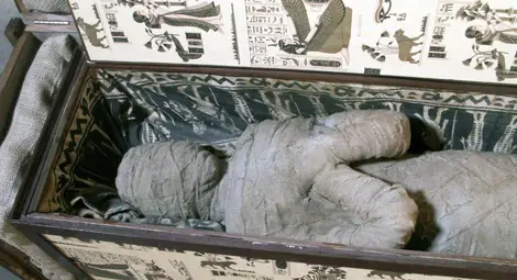 В Египет откриха некропол с 50 мумии