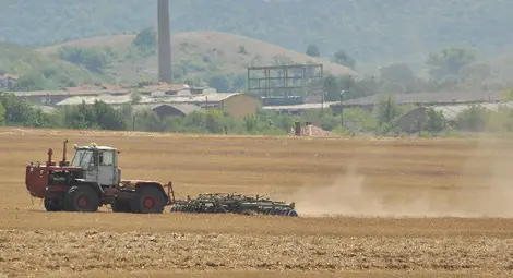 Пазарът на ниви в община Борово се консолидира около 1000 лева за декар Пазарът на ниви в община Борово се консолидира около 1000 лева за декар