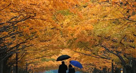 Предимно облачно, на места ще превали