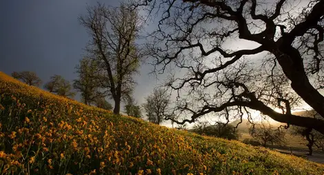 Утре температурите ще се повишат и максималните ще са между 14&deg; и 19&deg;