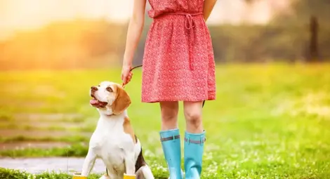 Захлаждане, бури и градушки в последните дни от седмицата Захлаждане, бури и градушки в последните дни от седмицата