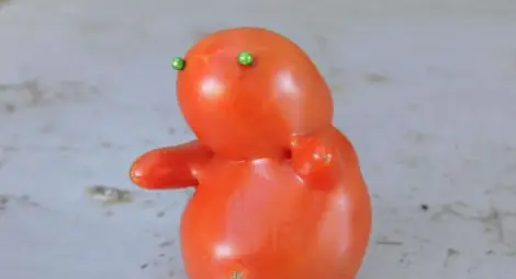 Триумф! Розовият домат влезе в световна съкровищница на вкусове