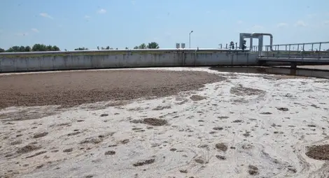 Рибари и чайки отхвърлят обвинения за лоша работа на пречиствателната станция