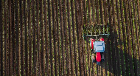 Много бенефициенти за биоземеделие, малко производители Много бенефициенти за биоземеделие, малко производители