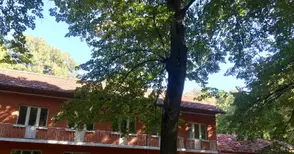 Контрапункт от потребител: Моята оценка като клиент на хоспис „Свети Никола“ е повече от добра