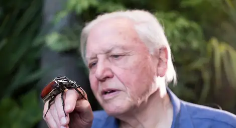 Скрит чудесен свят се разкрива пред зрителите на Viasat Nature