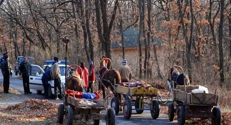 Девет бракониери се разделиха с 8 каруци заради 10 кубика дърва