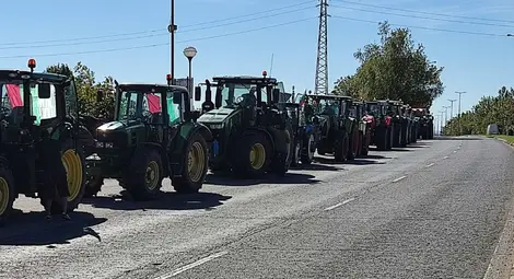 Земеделците искат поне 1 лев изкупна цена на пшеницата