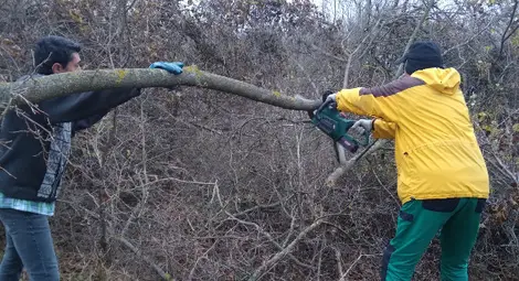 Предстои учредяване на Консултативен съвет на инициативата "Заедно за Поломето" Предстои учредяване на Консултативен съвет на инициативата "Заедно за Поломето"