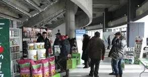 Дунавските овощари стягат  четвърто изложение през март