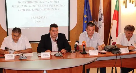 Над 79 000 прасета умъртвени заради чумата Над 79 000 прасета умъртвени заради чумата