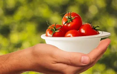 Евродепутатите призовават за намаляване на разхищението на храни