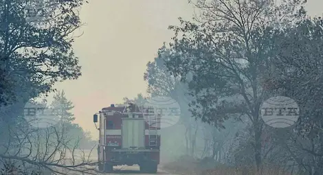 Снимка: БТА