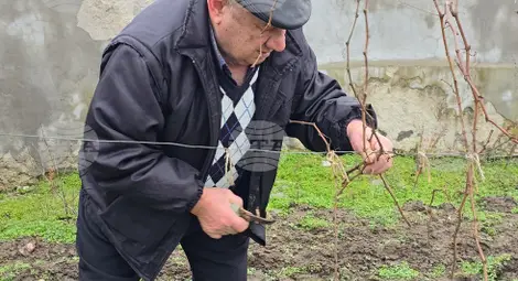 Снимка: БТА Снимка: БТА