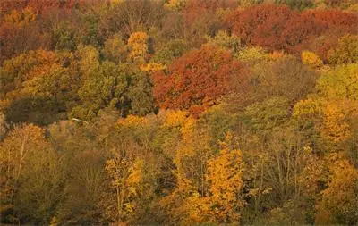 От минус 8&deg; до плус 20&deg; през ноември