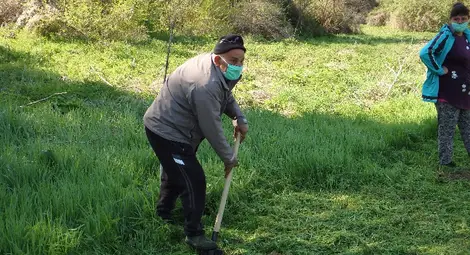 1600 фиданки явор, липа, бяла акация и цер засадиха в община Ценово