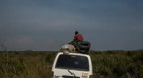 "По-хубаво от секс": дрогата, която превръща човека в зомби "По-хубаво от секс": дрогата, която превръща човека в зомби