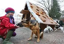 Хората не са по-умни от животните, просто не ги разбираме