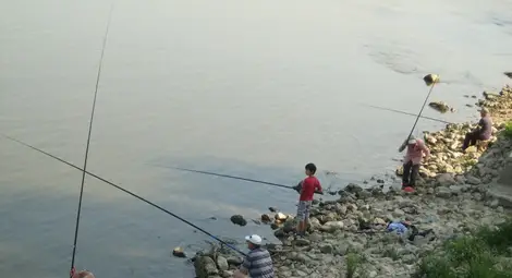 129 тона риба извадени от Дунав за година