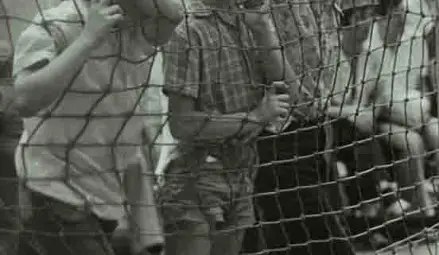 Архивите разказват:  Началото на волейбола в Русе