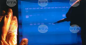 Учени откриха най-уязвимите към мутации участъци в човешкия геном