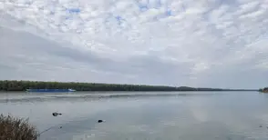 Шофьор на украински тир се удави при къпане в Дунав