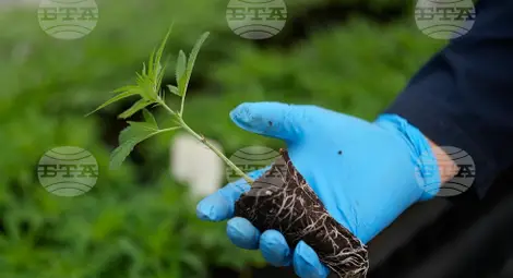 Снимка: БТА Снимка: БТА