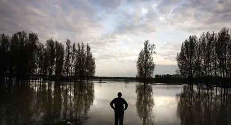 Продължава пръскането срещу комари по поречието на Дунав