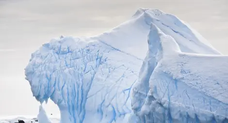 Топенето на антарктическия леден шелф се ускорява