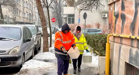 Над 150 служители са мобилизирани за обработка на тротоарите срещу заледяване